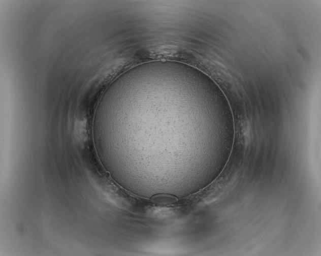 X0000112040224200908101408