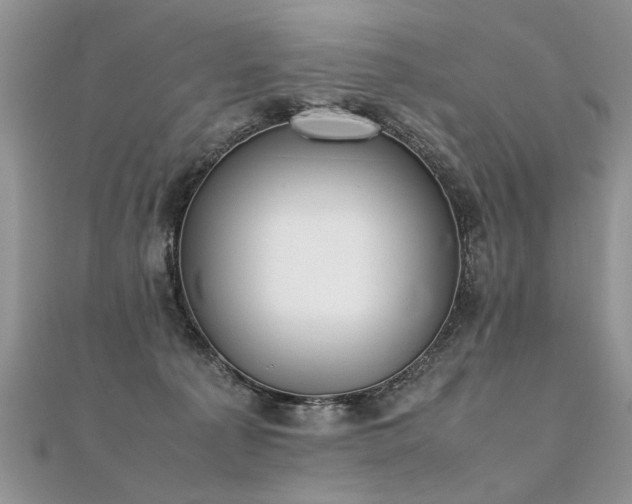 X0000112040225200908101408