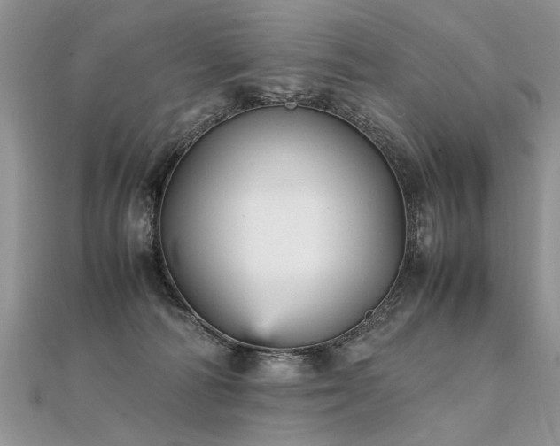 X0000112040226200908101408