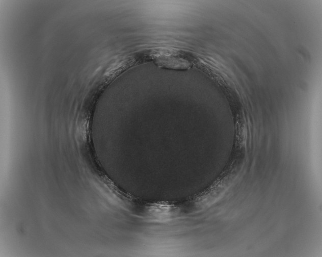 X0000112040227200908101408