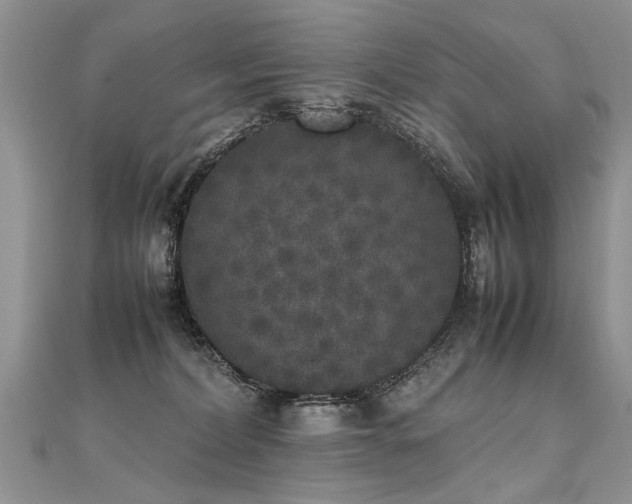 X0000112040228200908101408