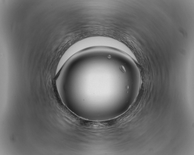 X0000112040229200908101408