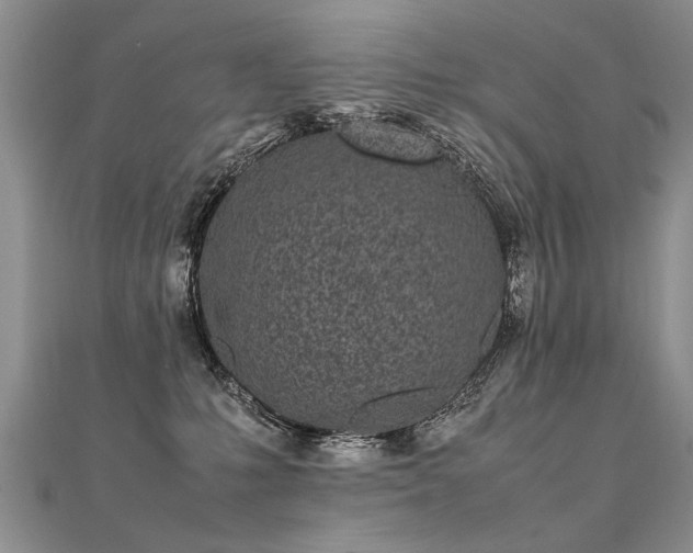 X0000112040231200908101408