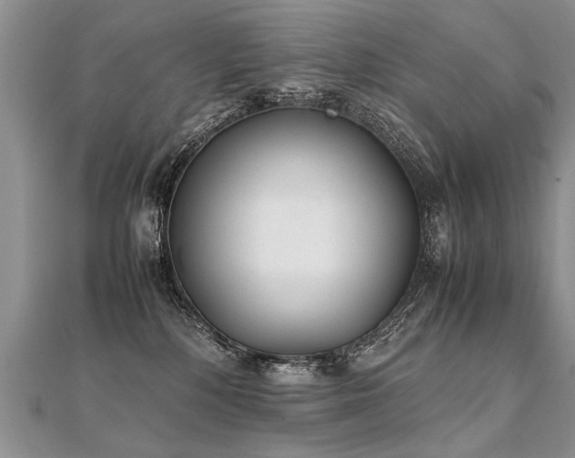 X0000112040232200908101408