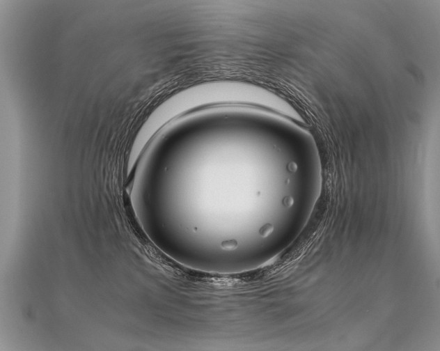 X0000112040233200908101408