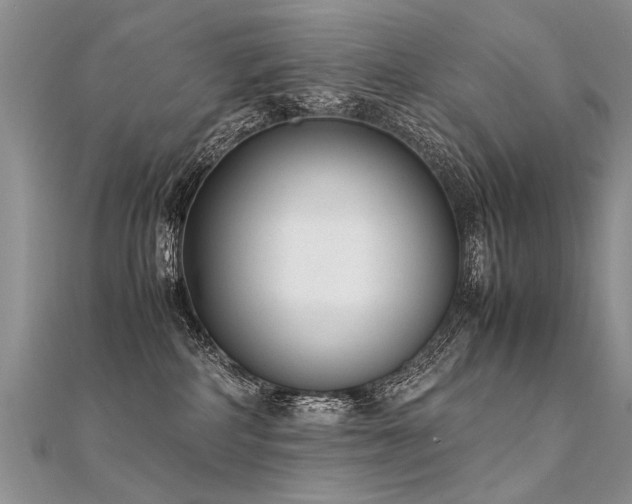 X0000112040234200908101408