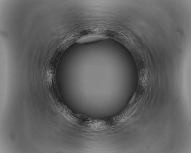 X0000112040235200908101408