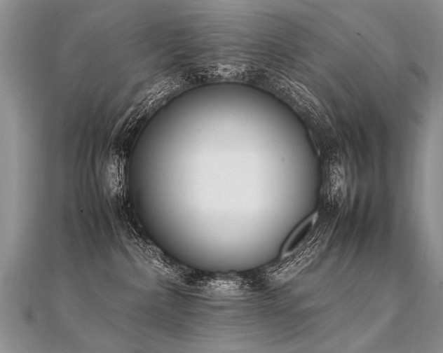 X0000112040236200908101408