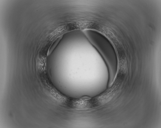 X0000112040237200908101408