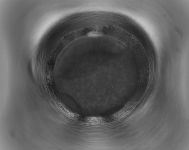 X0000112040239200908101408