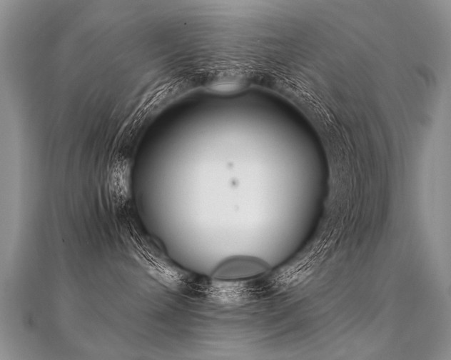 X0000112040240200908101408