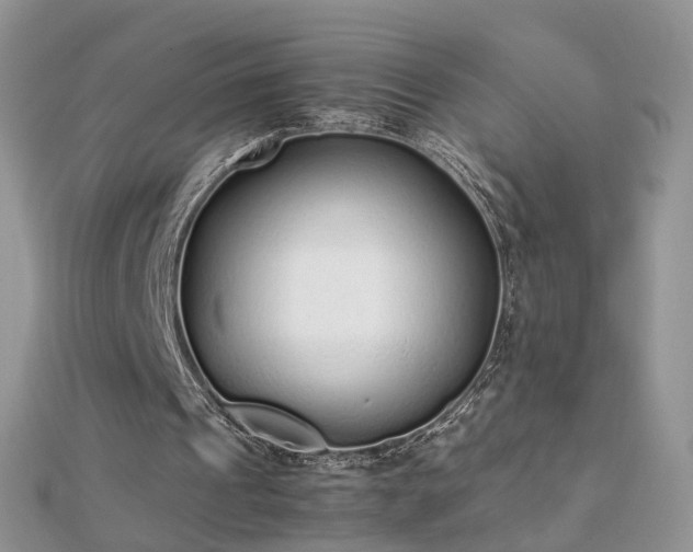 X0000112040241200908101407