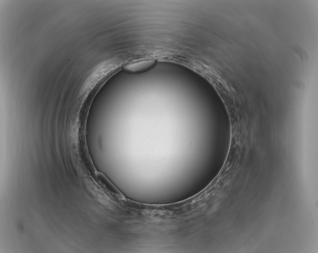 X0000112040242200908101407