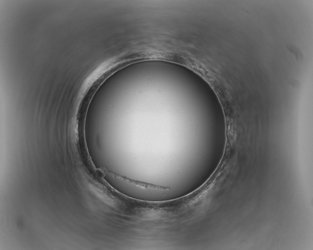 X0000112040246200908101407
