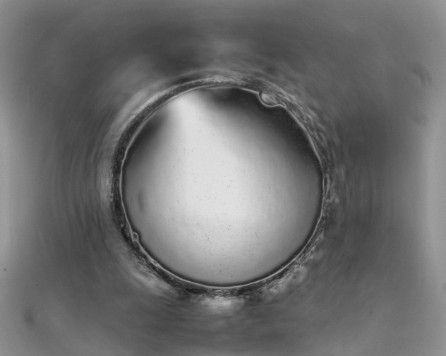 X0000112040247200908101408