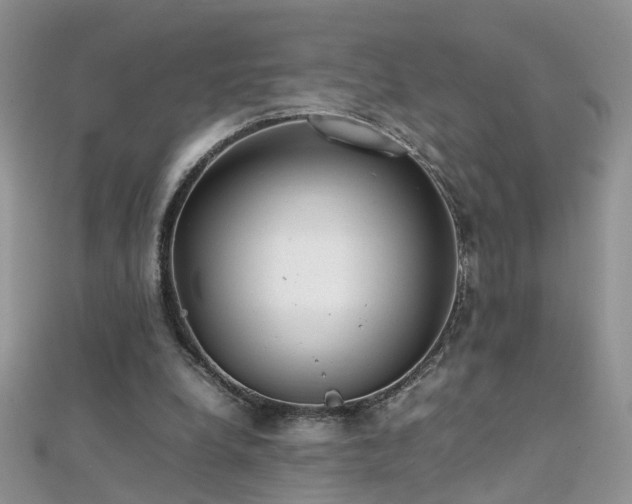 X0000112040248200908101408