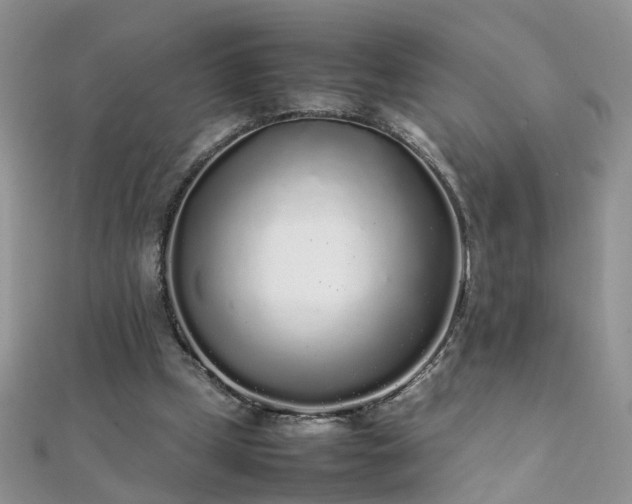 X0000112040249200908101408