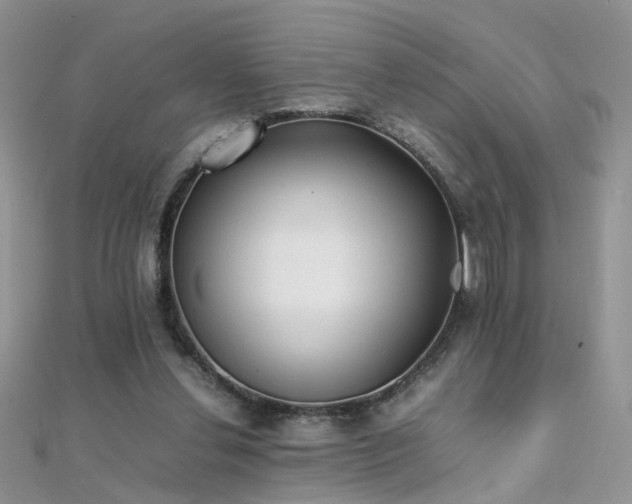 X0000112040252200908101408