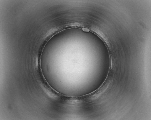 X0000112040253200908101408