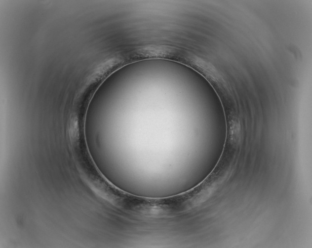 X0000112040254200908101408