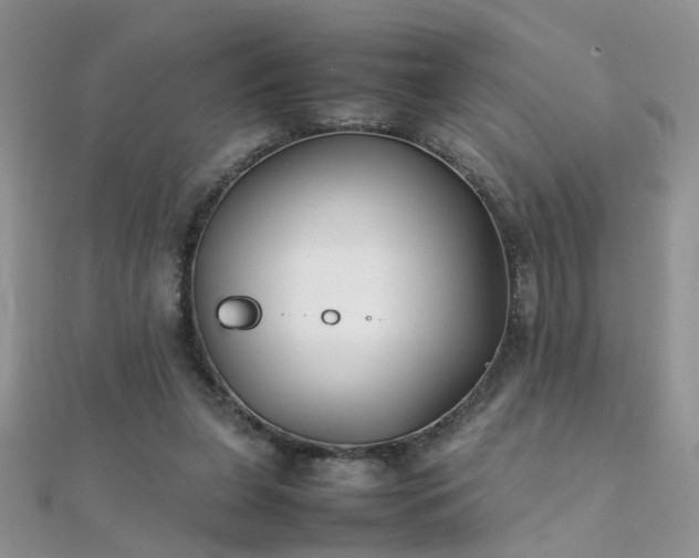 X0000112040255200908101408