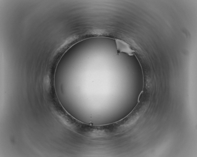 X0000112040256200908101408