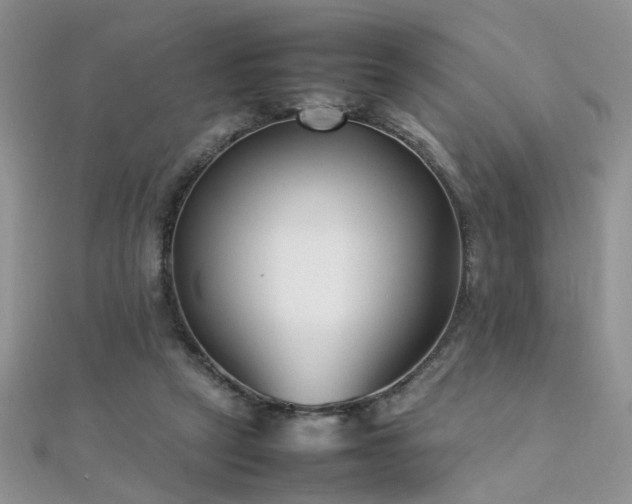 X0000112040257200908101408