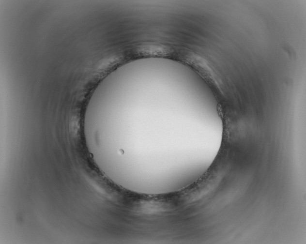 X0000112040259200908101408