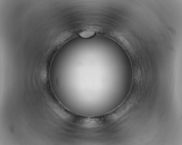 X0000112040261200908101408