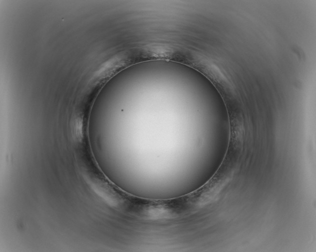 X0000112040262200908101408