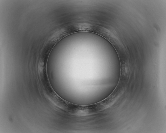 X0000112040263200908101408