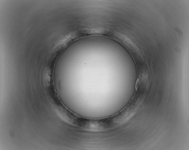 X0000112040264200908101408