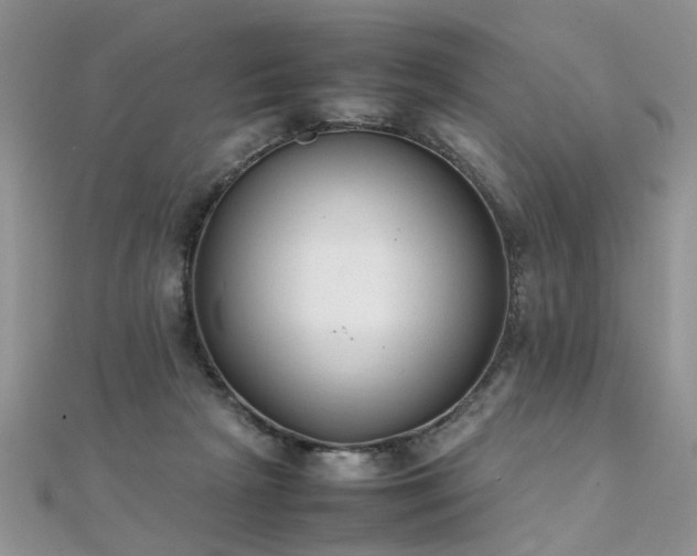X0000112040265200908101408