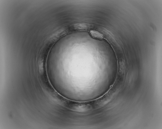 X0000112040267200908101408