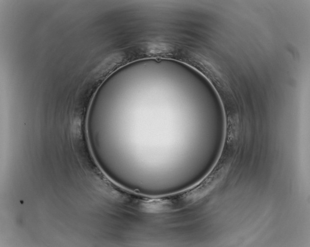 X0000112040269200908101408