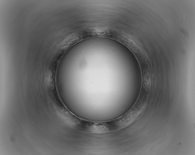 X0000112040270200908101408