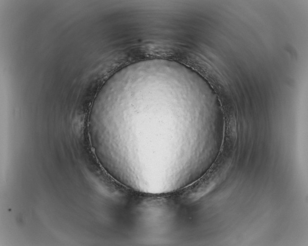 X0000112040271200908101408