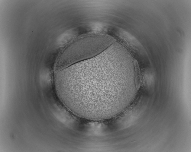 X0000112040272200908101408