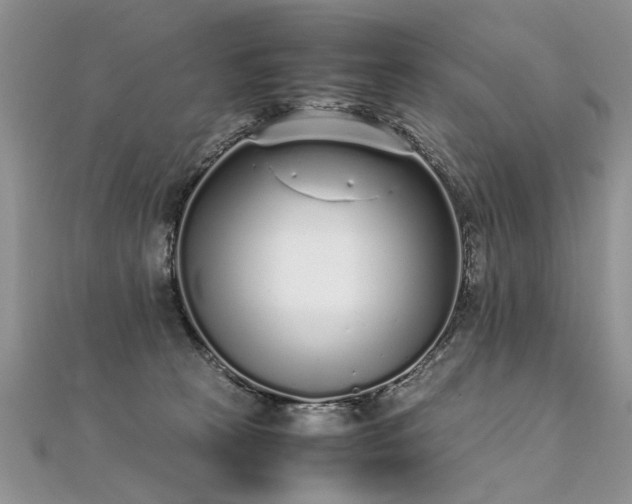 X0000112040273200908101408