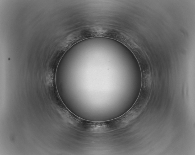 X0000112040274200908101408