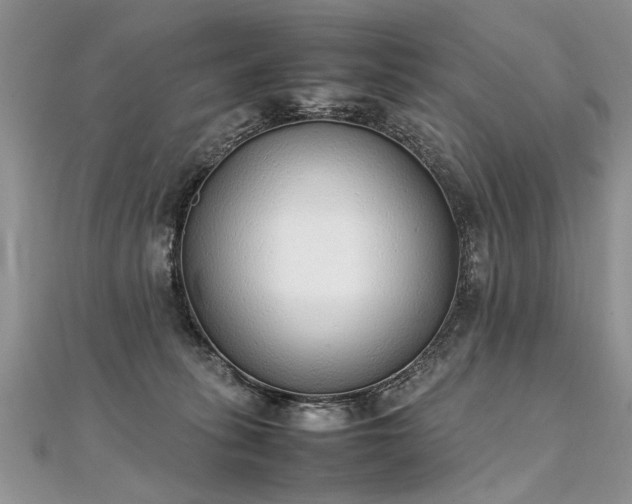 X0000112040275200908101408