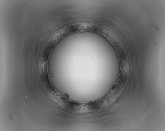 X0000112040276200908101408