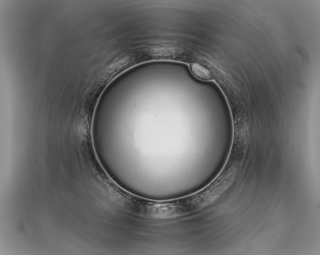 X0000112040277200908101408