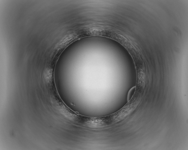 X0000112040278200908101408