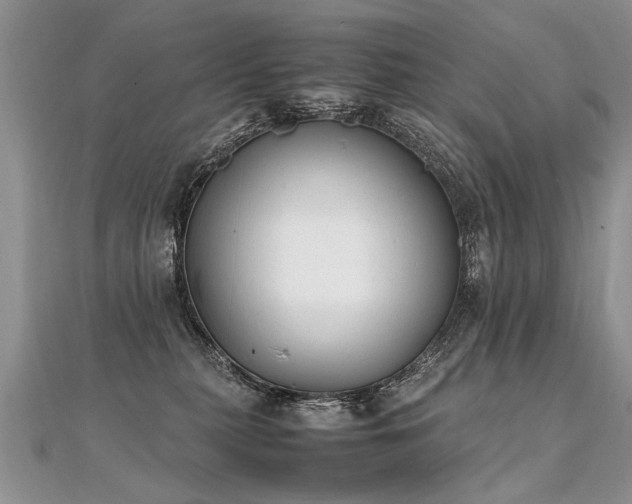 X0000112040279200908101408