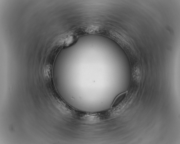 X0000112040280200908101408