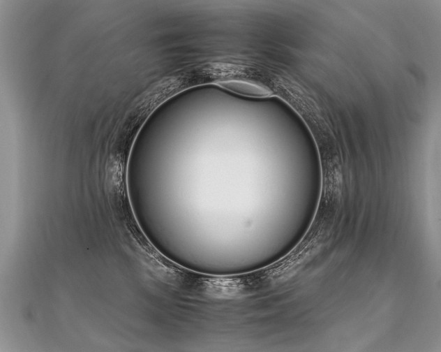 X0000112040281200908101408