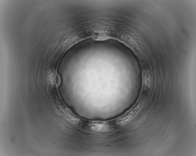 X0000112040285200908101408