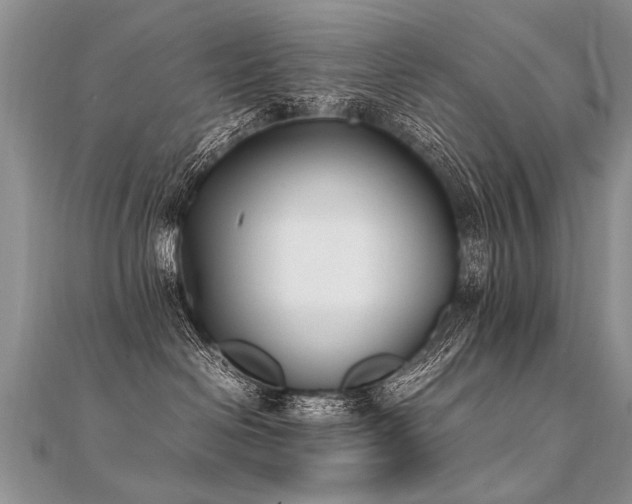 X0000112040286200908101408
