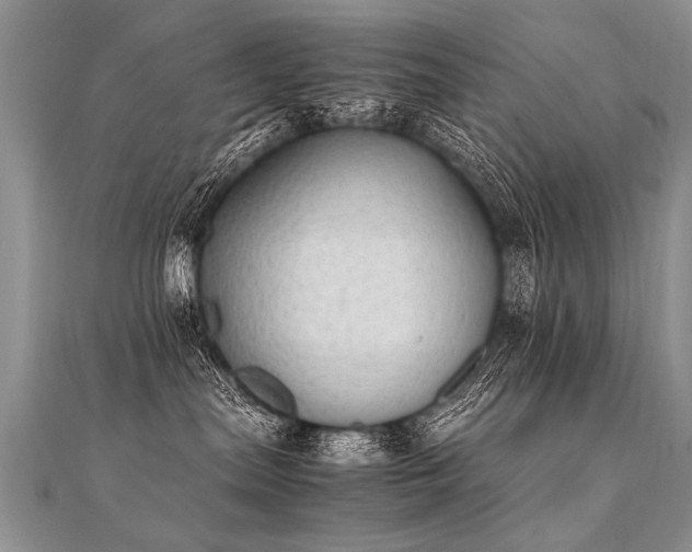 X0000112040287200908101408